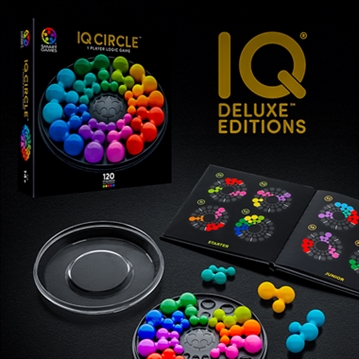 IQ Circle 120 Challenge Puzzle Game