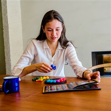 IQ Circle 120 Challenge Puzzle Game