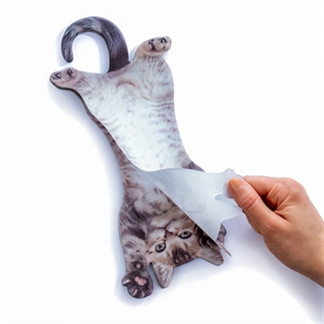 Cat Hanging Notes