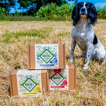 Dog Cookie Making Kits