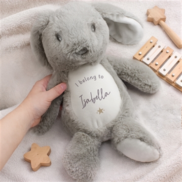 Personalised "I Belong To…" Bunny