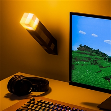 Minecraft Torch Light