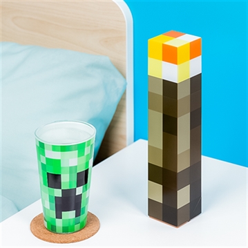 Minecraft Torch Light