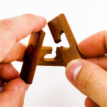 Great Minds Set of 5 Puzzles