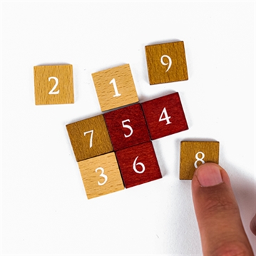 Wooden & Metal Puzzles