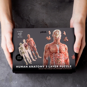Human Anatomy Layer Puzzle