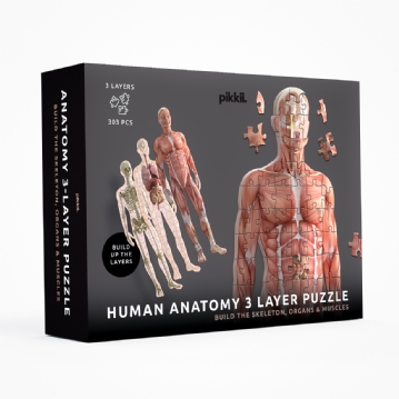 Human Anatomy Layer Puzzle