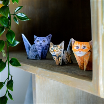 Paper Cats