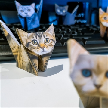 Paper Cats