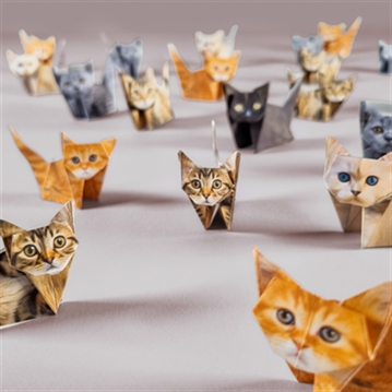 Paper Cats