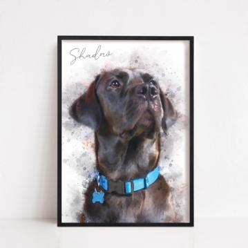 Personalised Watercolour Style Pet Portraits
