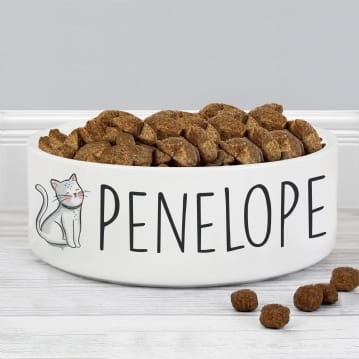 Personalised Cat Bowls Scribble Design