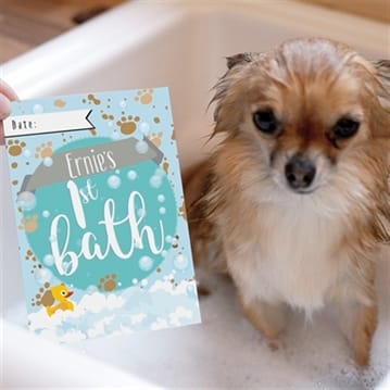 Personalised Puppy Cards For Milestone Moments