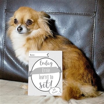 Personalised Puppy Cards For Milestone Moments