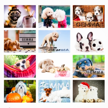 Personalised Barking Mad Calendars