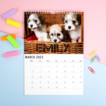 Personalised Barking Mad Calendars