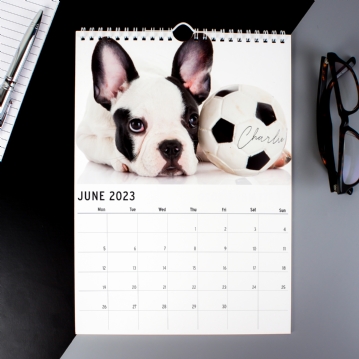Personalised Barking Mad Calendars
