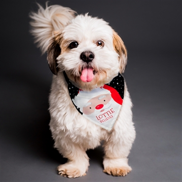 Personalised Santa Dog Bandana