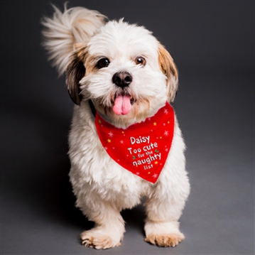 Personalised 'Too cute for the naughty list' Dog Bandana