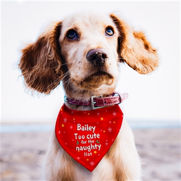 Personalised 'Too cute for the naughty list' Dog Bandana