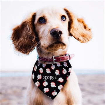 Personalised Santa Black Dog Bandana