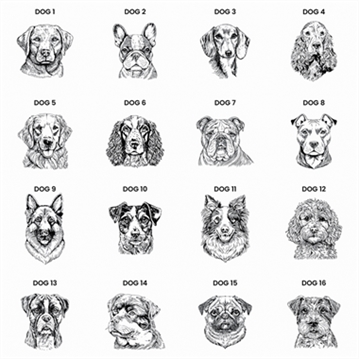 Personalised Dog Breed Black Framed Print