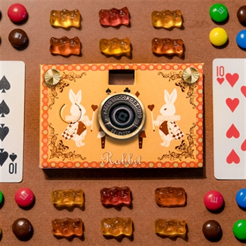 Paper Shoot Camera Case - Retro Design (Alice Rabbit)