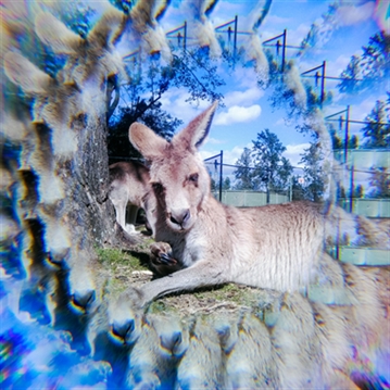 Paper Shoot Effect Lens - Radial & Six Prism Lens Set