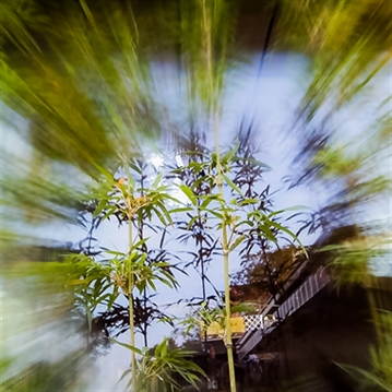 Paper Shoot Effect Lens - Radial & Six Prism Lens Set