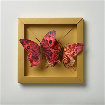 Pop-Up Picture Frames - 6 Sizes in 1