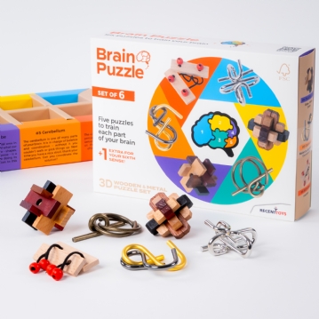 Set of 6 Brain Puzzles