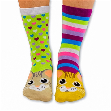 Cat Walk Odd Socks Gift Box