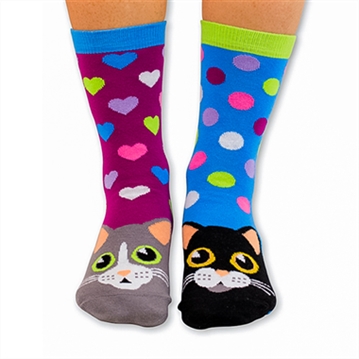 Cat Walk Odd Socks Gift Box