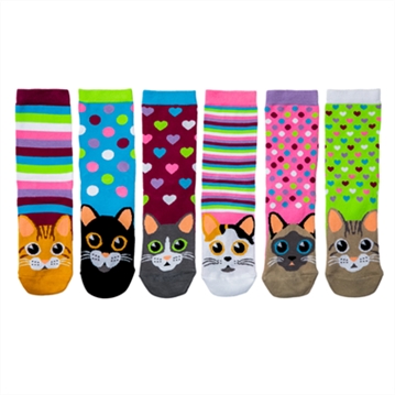 Cat Walk Odd Socks Gift Box