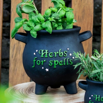 Large Herbs For Spells Cauldron Plant Pot