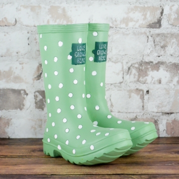 Welly Boot Planter 