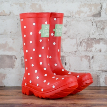 Welly Boot Planter 