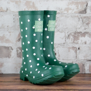 Welly Boot Planter 