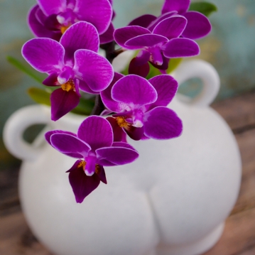 Cream Speckle Love Handles Bum Plant Pot