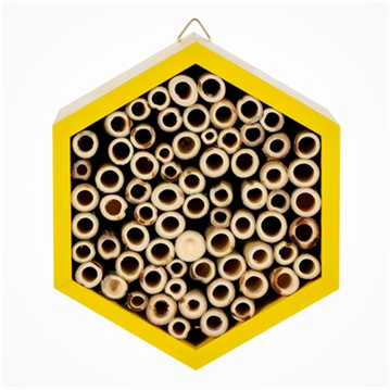 Wooden Bee House