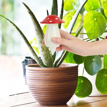 Self Watering Mushroom Planter