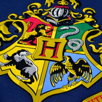 Harry Potter Hogwarts T-Shirt & Socks Gift Set 