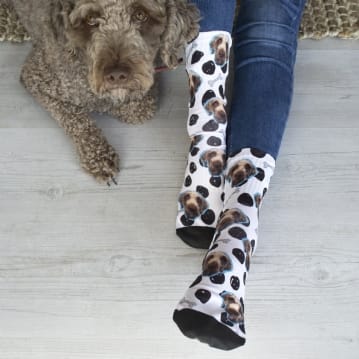 Personal shop dog socks