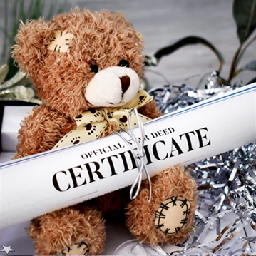 Personalised Name A Star with Teddy Gift Box