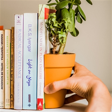 Plant Pot Bookends