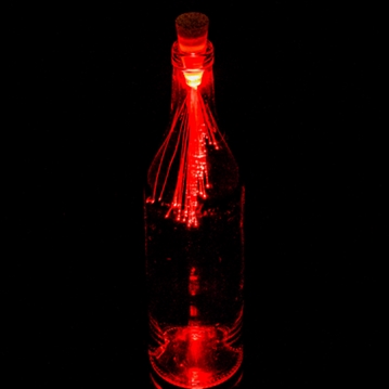 Fibre Optic Bottle Light