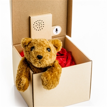 Recordable Message Gift Box