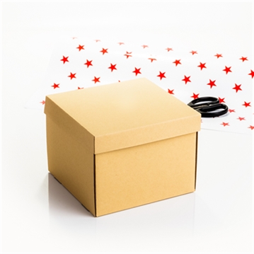 Recordable Message Gift Box