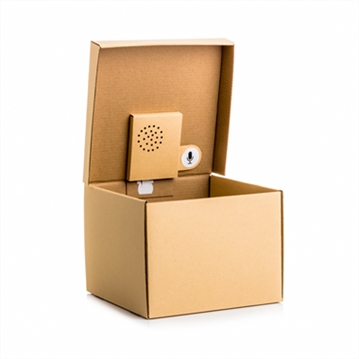 Recordable Message Gift Box