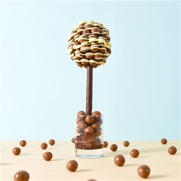 Personalised Chocolate Sweet Tree - Maltesers With White Chocolate Drizzle
